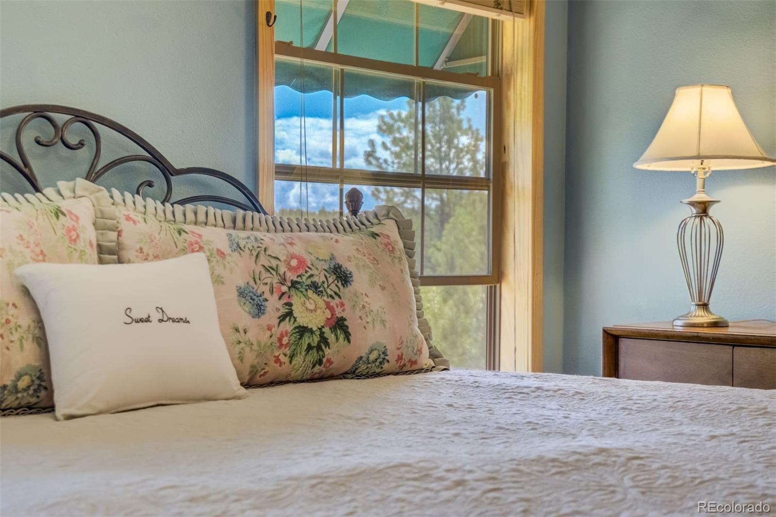 MLS Image #23 for 716  badger trail,florissant, Colorado