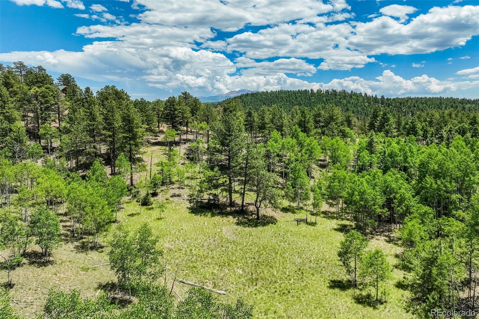 MLS Image #34 for 716  badger trail,florissant, Colorado