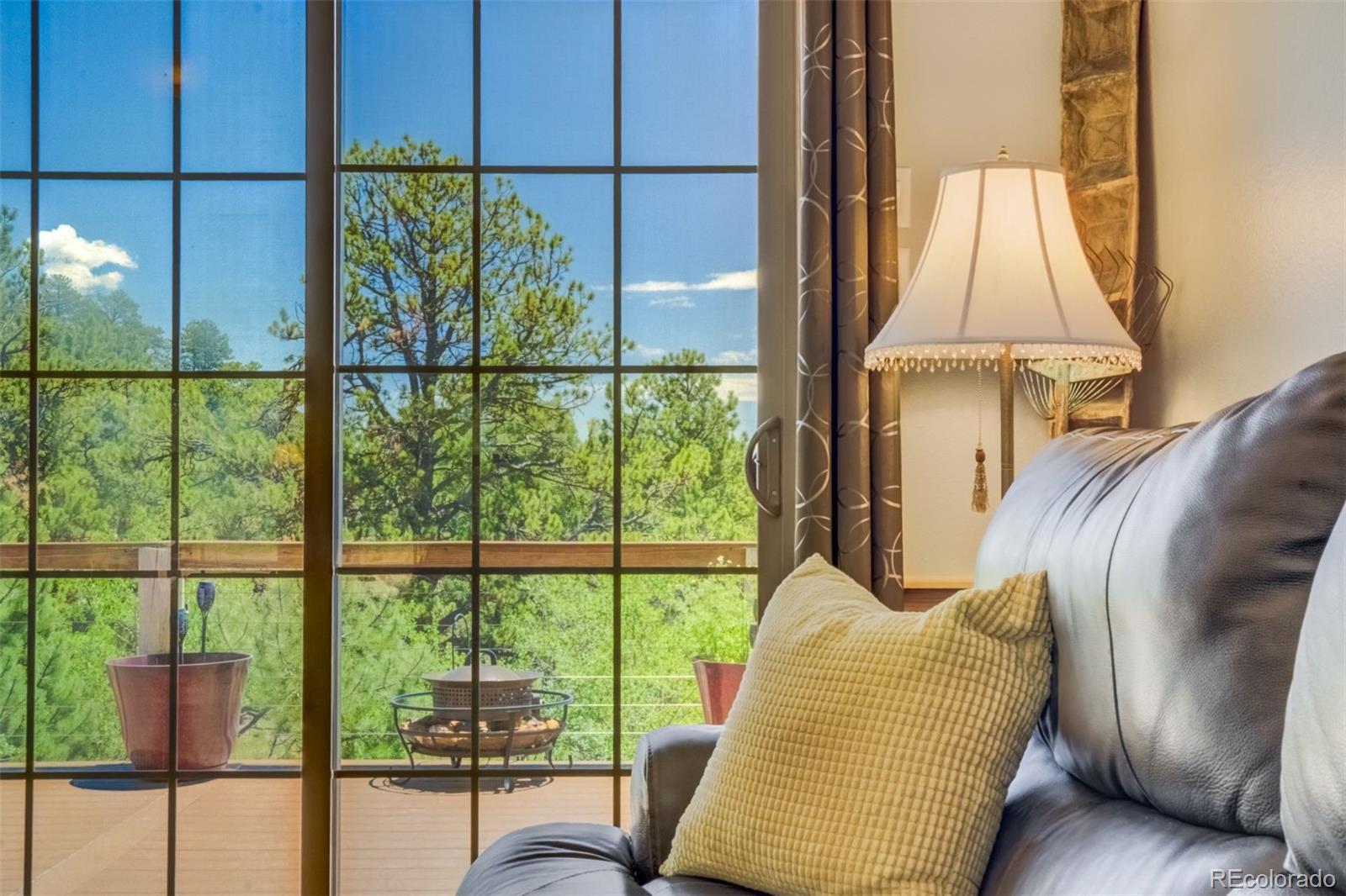 MLS Image #9 for 716  badger trail,florissant, Colorado