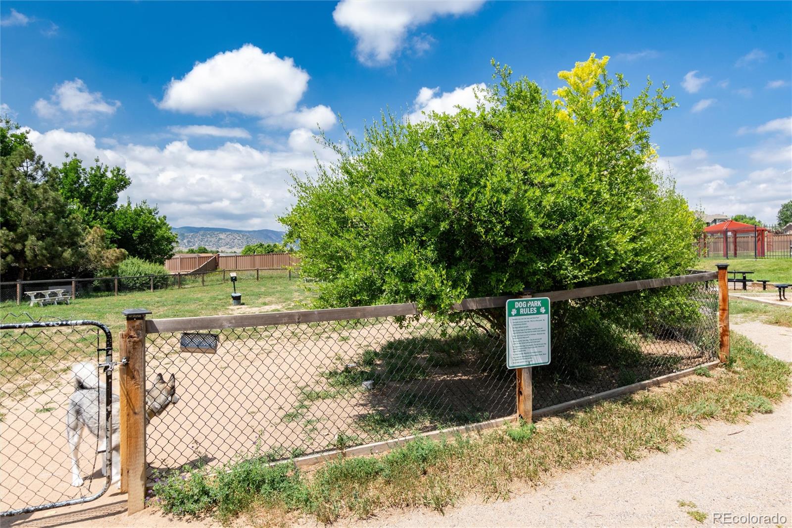MLS Image #39 for 8311 s upham way 1-207,littleton, Colorado