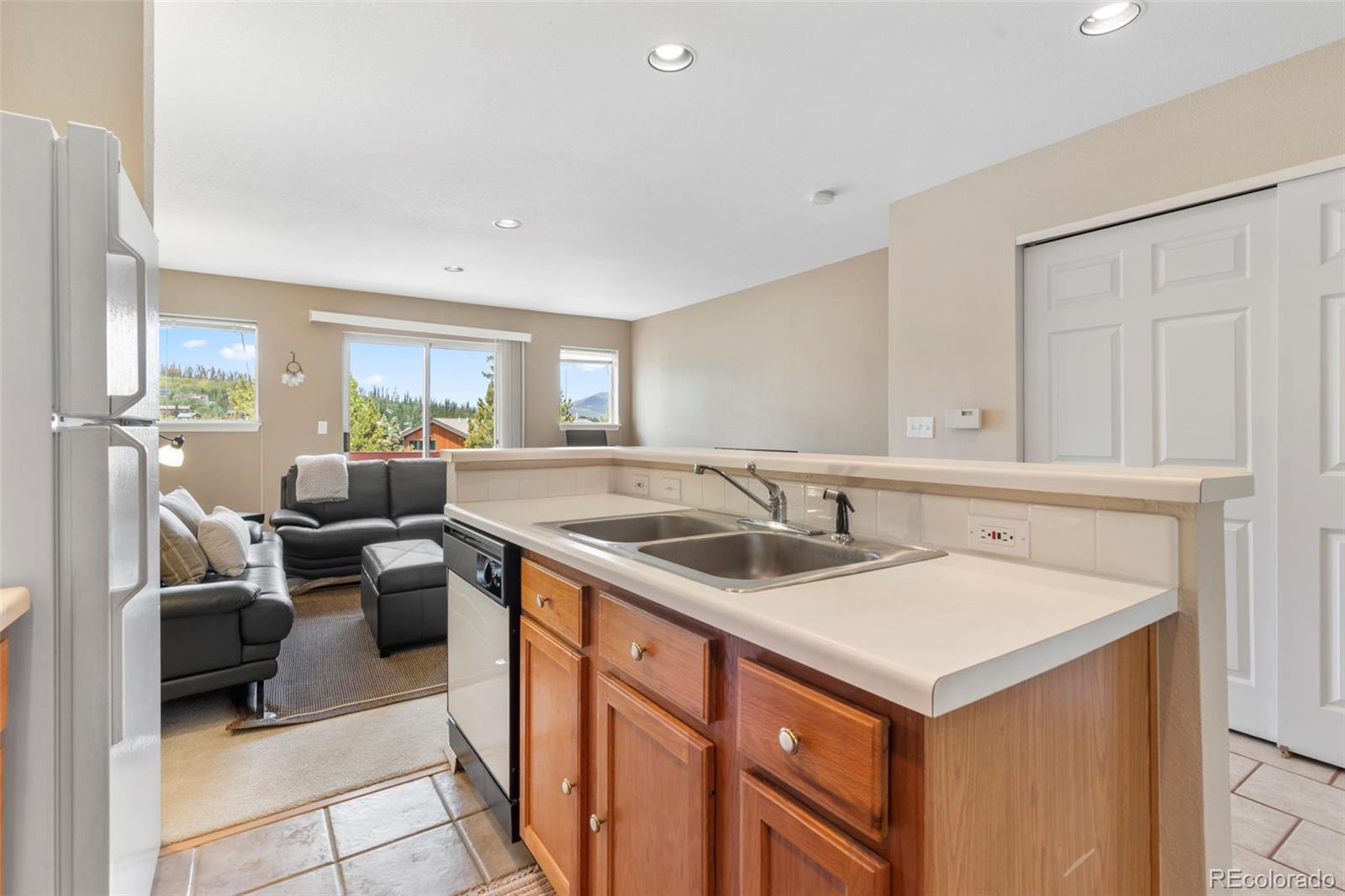MLS Image #10 for 26  spyglass lane,silverthorne, Colorado