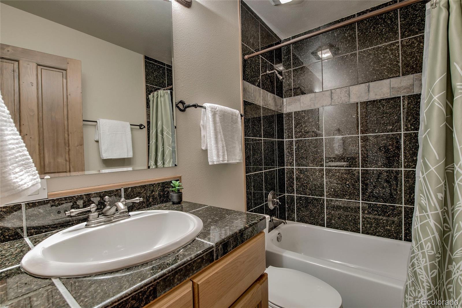MLS Image #21 for 74  stag trail,dillon, Colorado