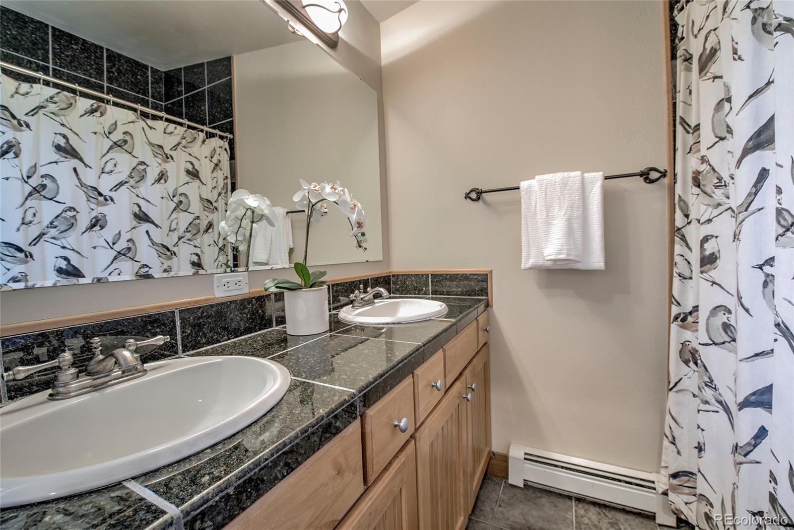 MLS Image #22 for 74  stag trail,dillon, Colorado