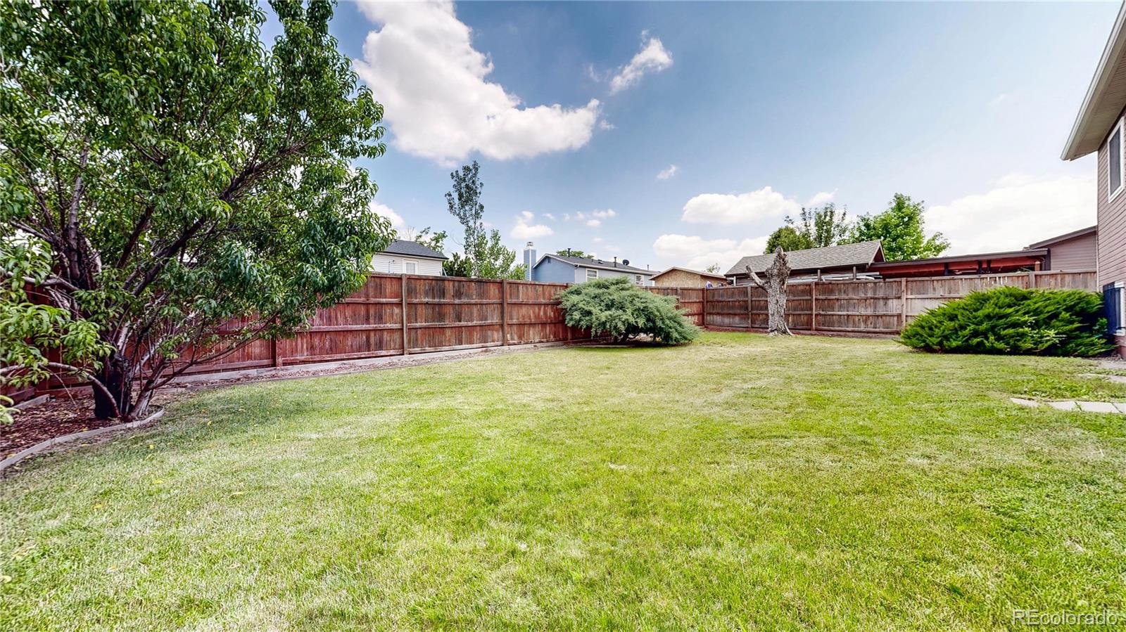 MLS Image #20 for 4396  dearborn street,denver, Colorado
