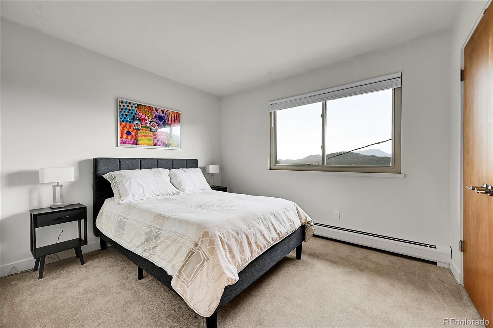 MLS Image #28 for 30334  roan drive,evergreen, Colorado
