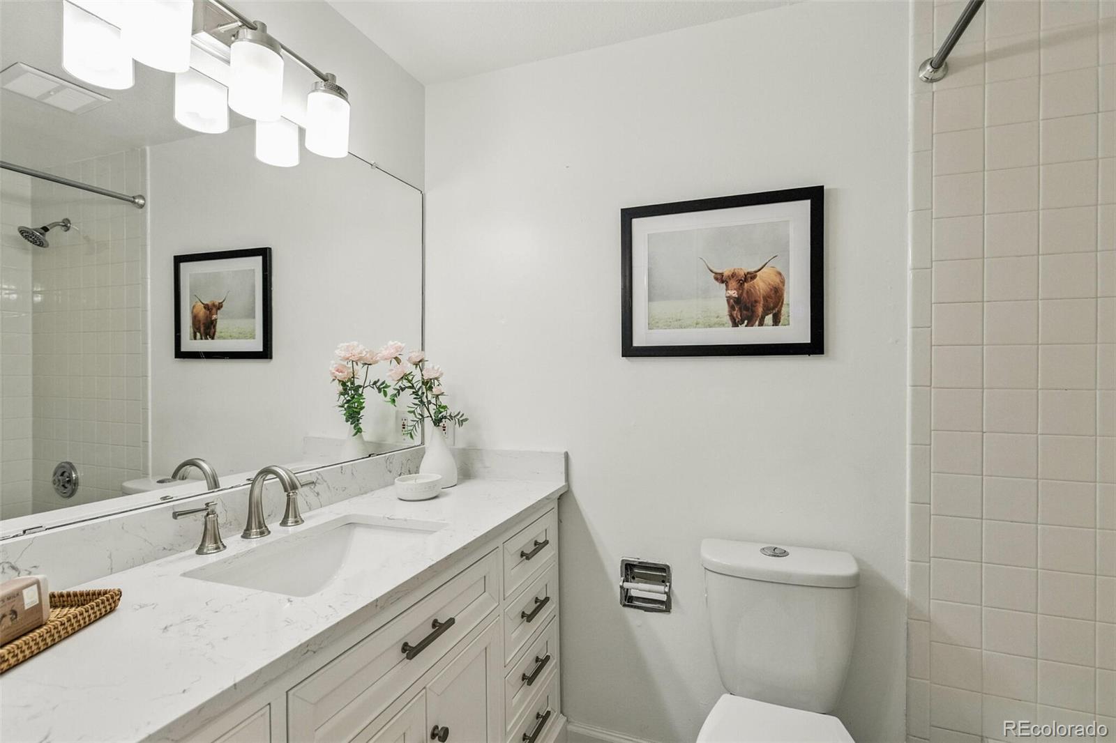 MLS Image #10 for 6664 e easter place,centennial, Colorado