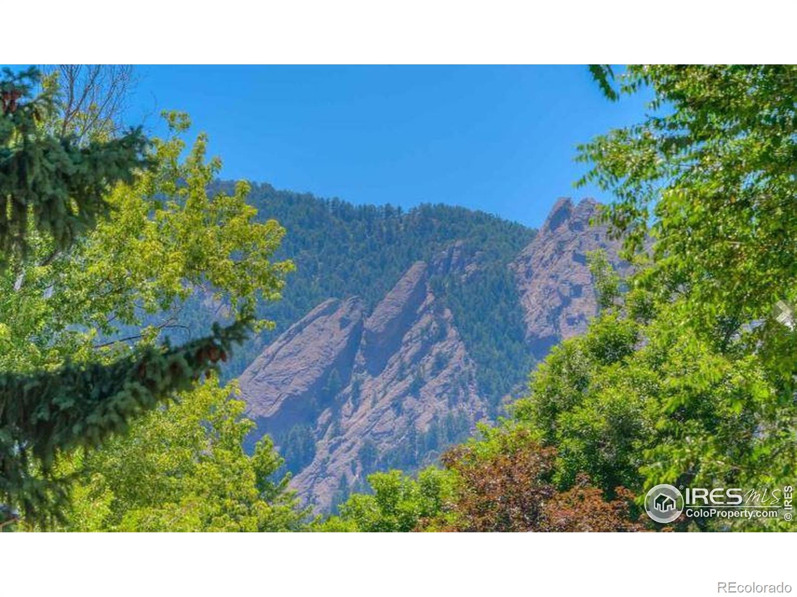 MLS Image #18 for 2030  columbine avenue,boulder, Colorado