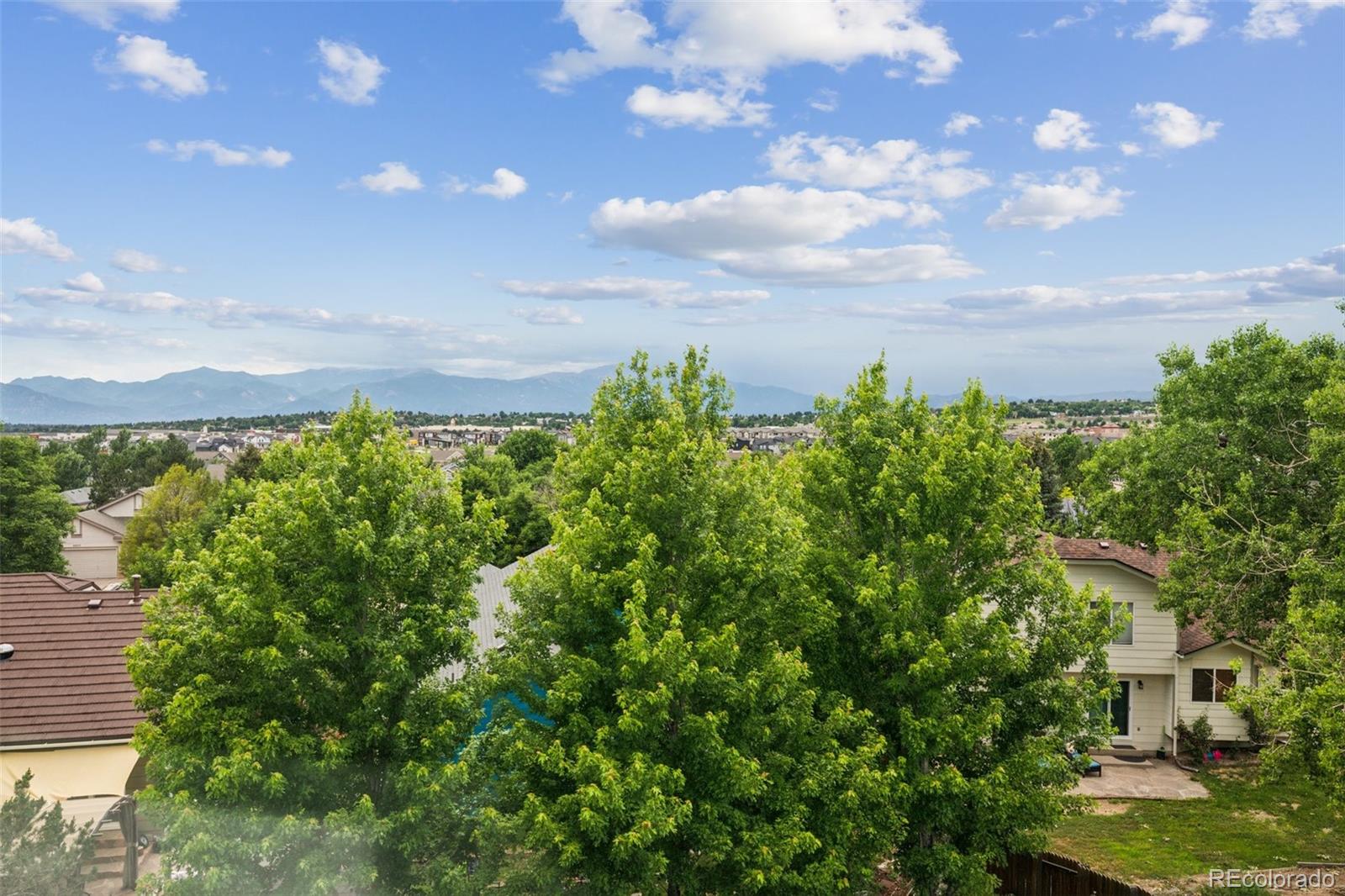 MLS Image #4 for 6510  packsaddle court,colorado springs, Colorado