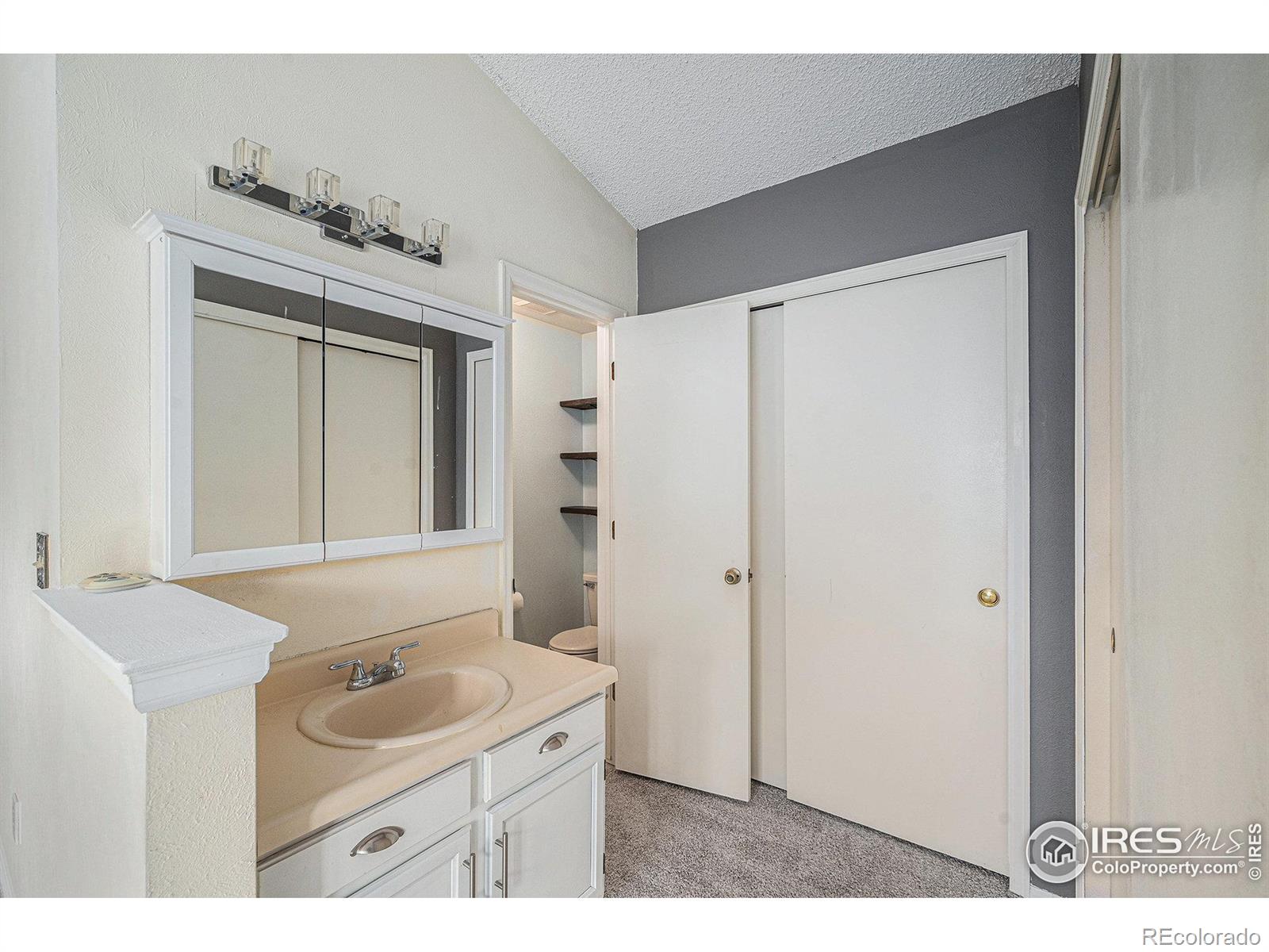 MLS Image #10 for 6019 s pierson court,littleton, Colorado
