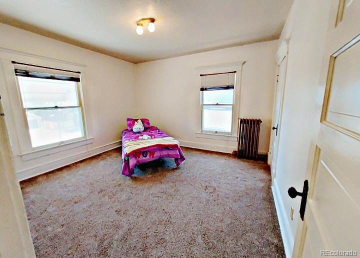 MLS Image #27 for 2011 n greenwood street,pueblo, Colorado