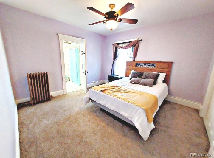 MLS Image #29 for 2011 n greenwood street,pueblo, Colorado