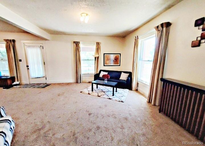 MLS Image #8 for 2011 n greenwood street,pueblo, Colorado