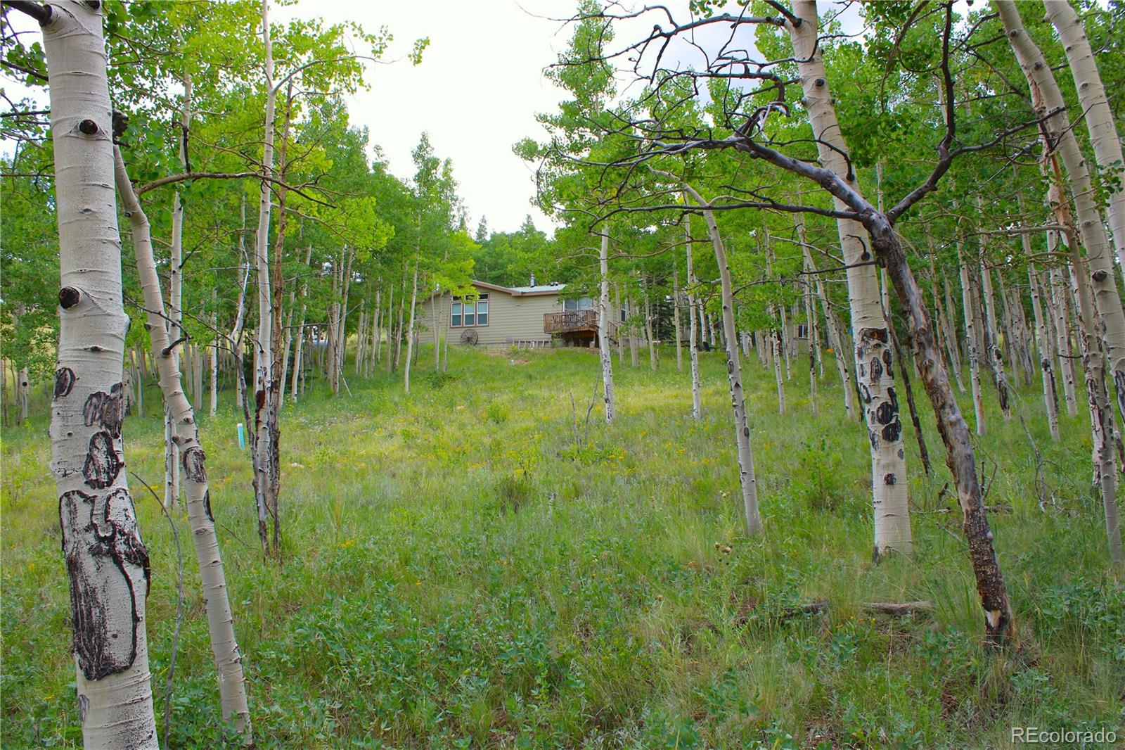 MLS Image #12 for 8575  ranch road,hartsel, Colorado