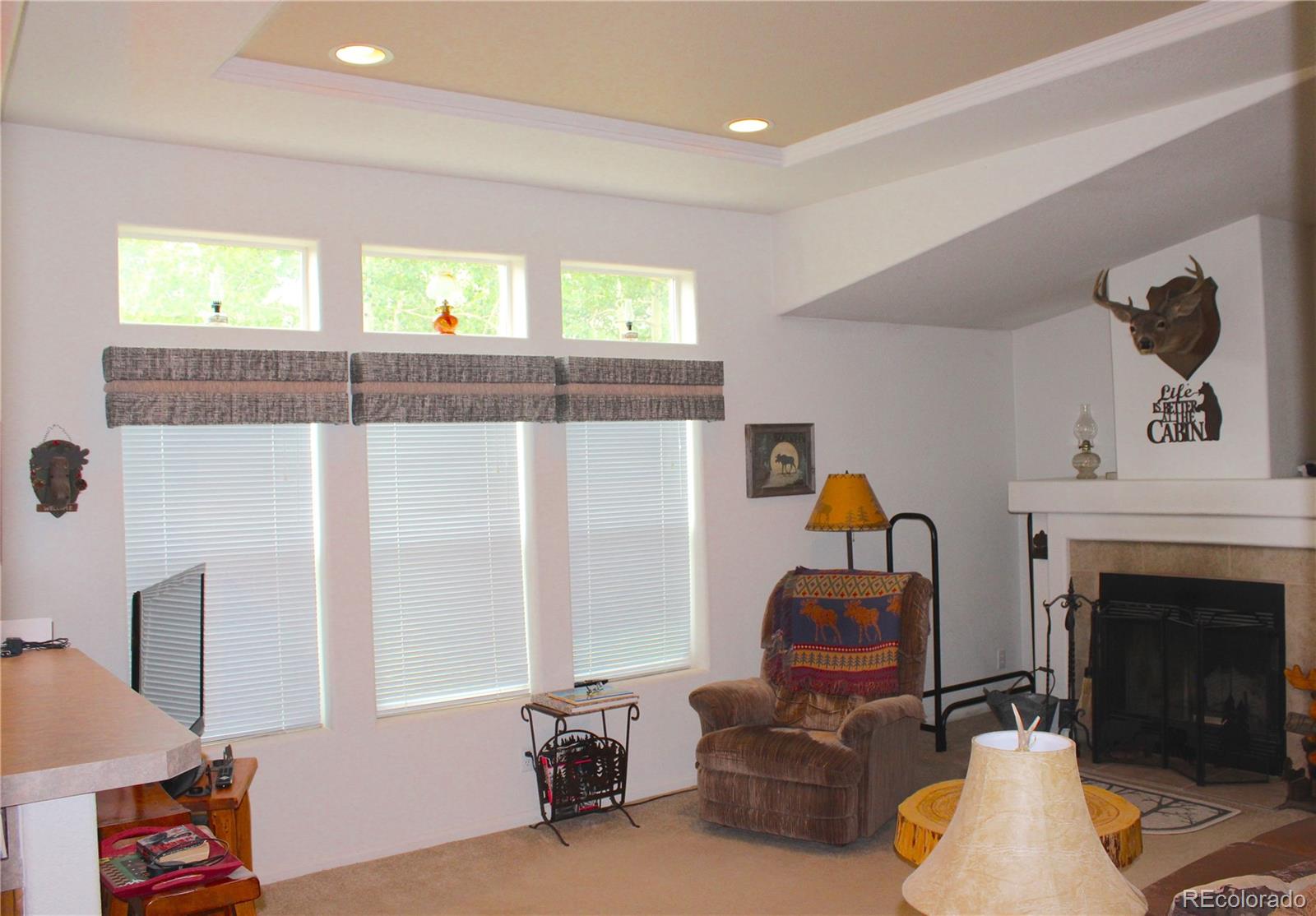 MLS Image #15 for 8575  ranch road,hartsel, Colorado