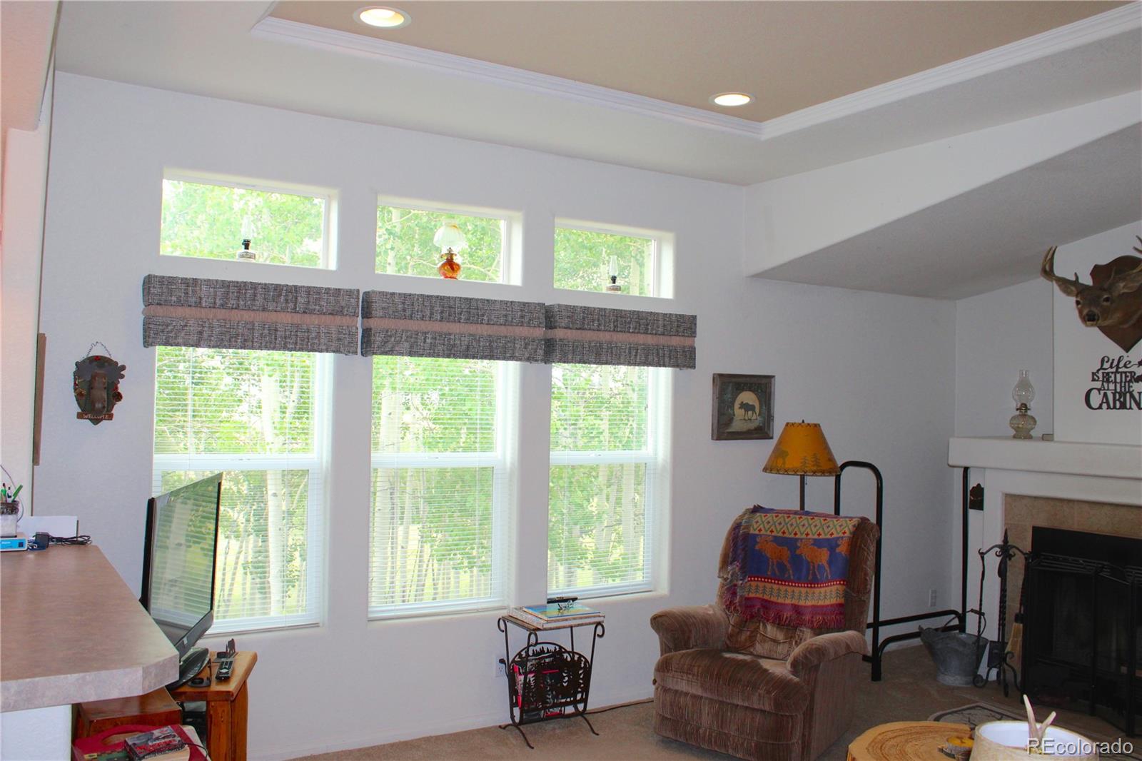 MLS Image #28 for 8575  ranch road,hartsel, Colorado
