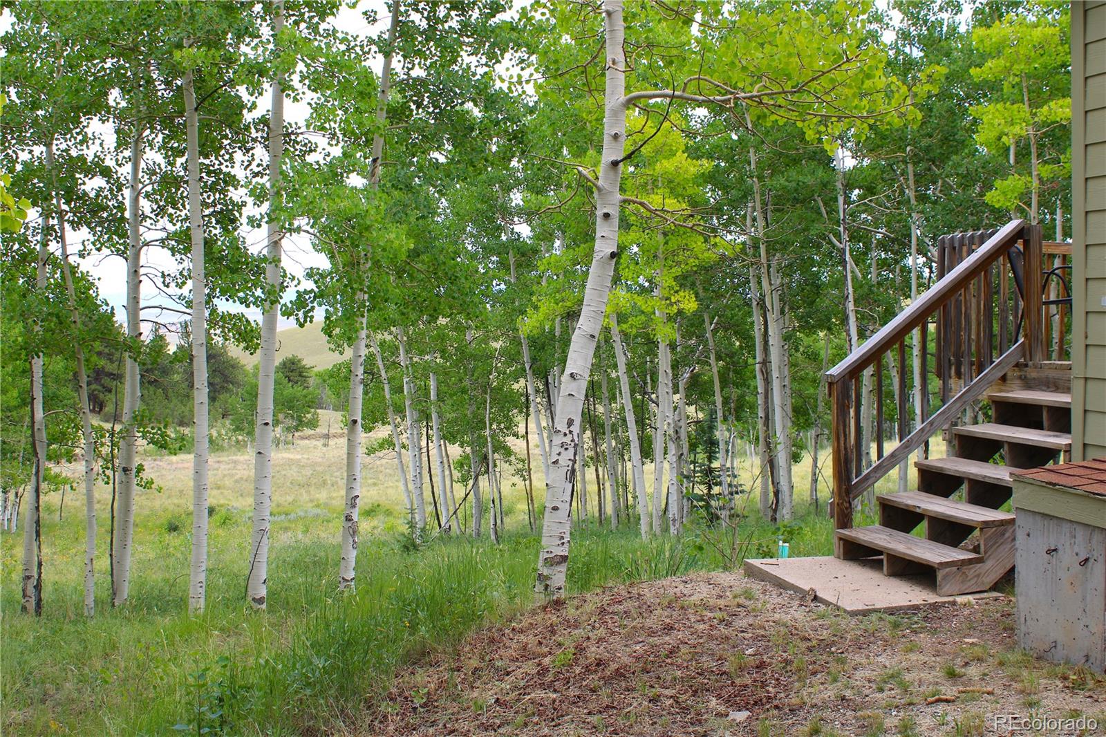 MLS Image #29 for 8575  ranch road,hartsel, Colorado