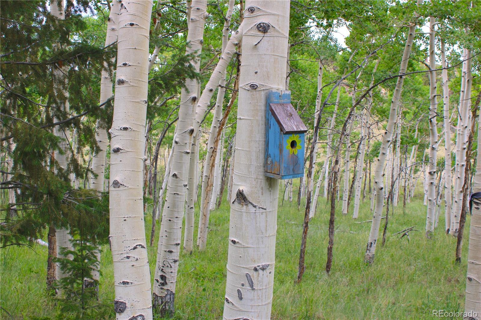 MLS Image #30 for 8575  ranch road,hartsel, Colorado