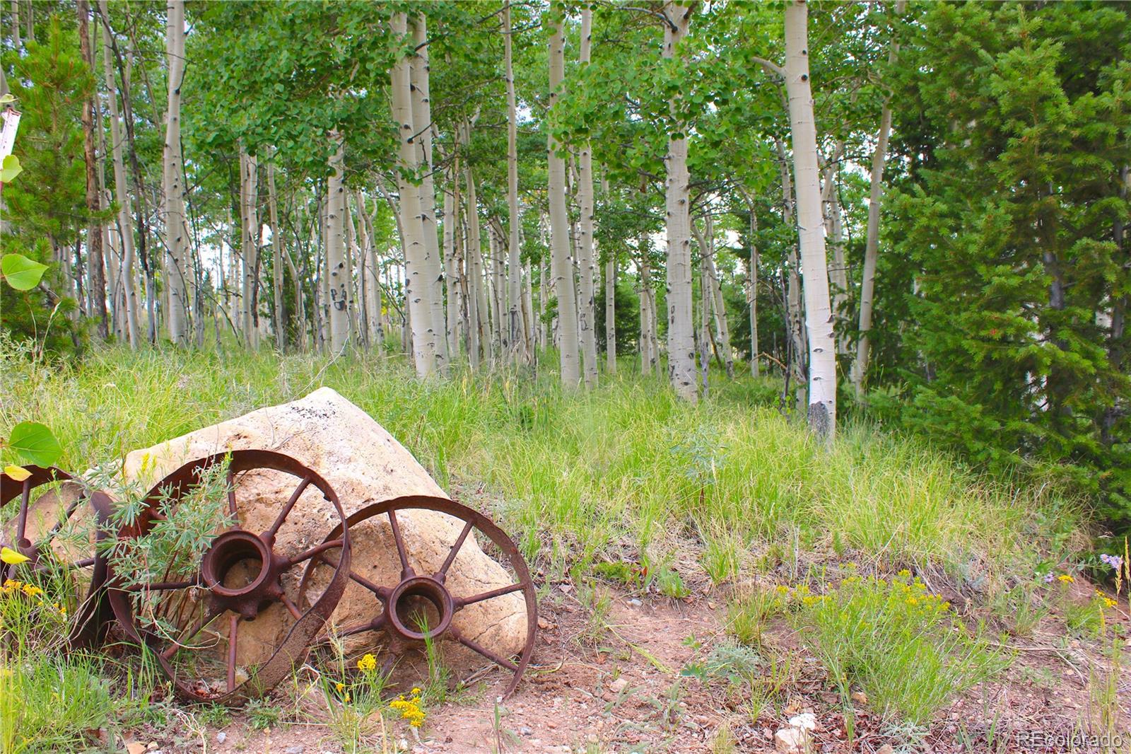 MLS Image #31 for 8575  ranch road,hartsel, Colorado