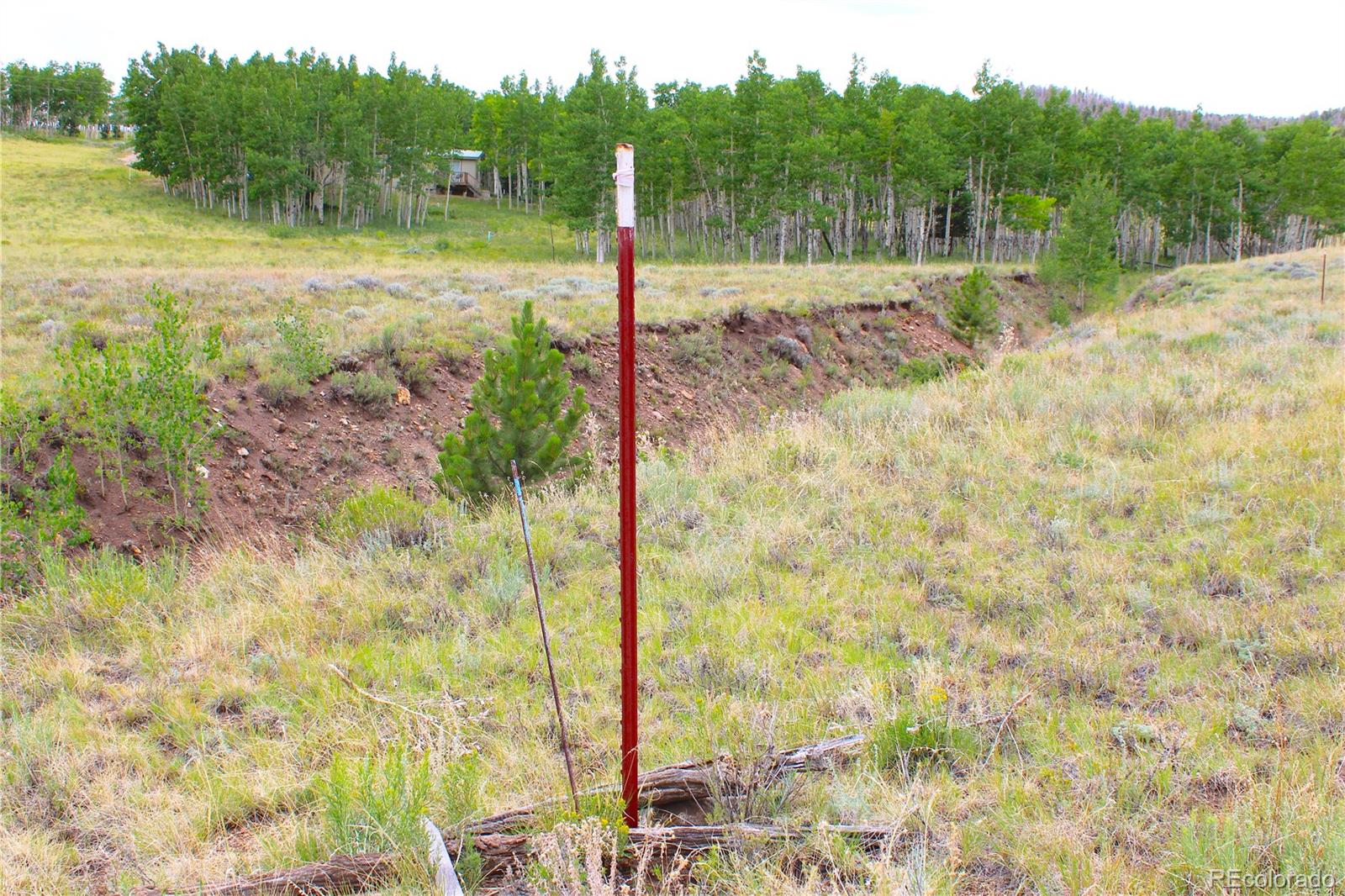 MLS Image #33 for 8575  ranch road,hartsel, Colorado