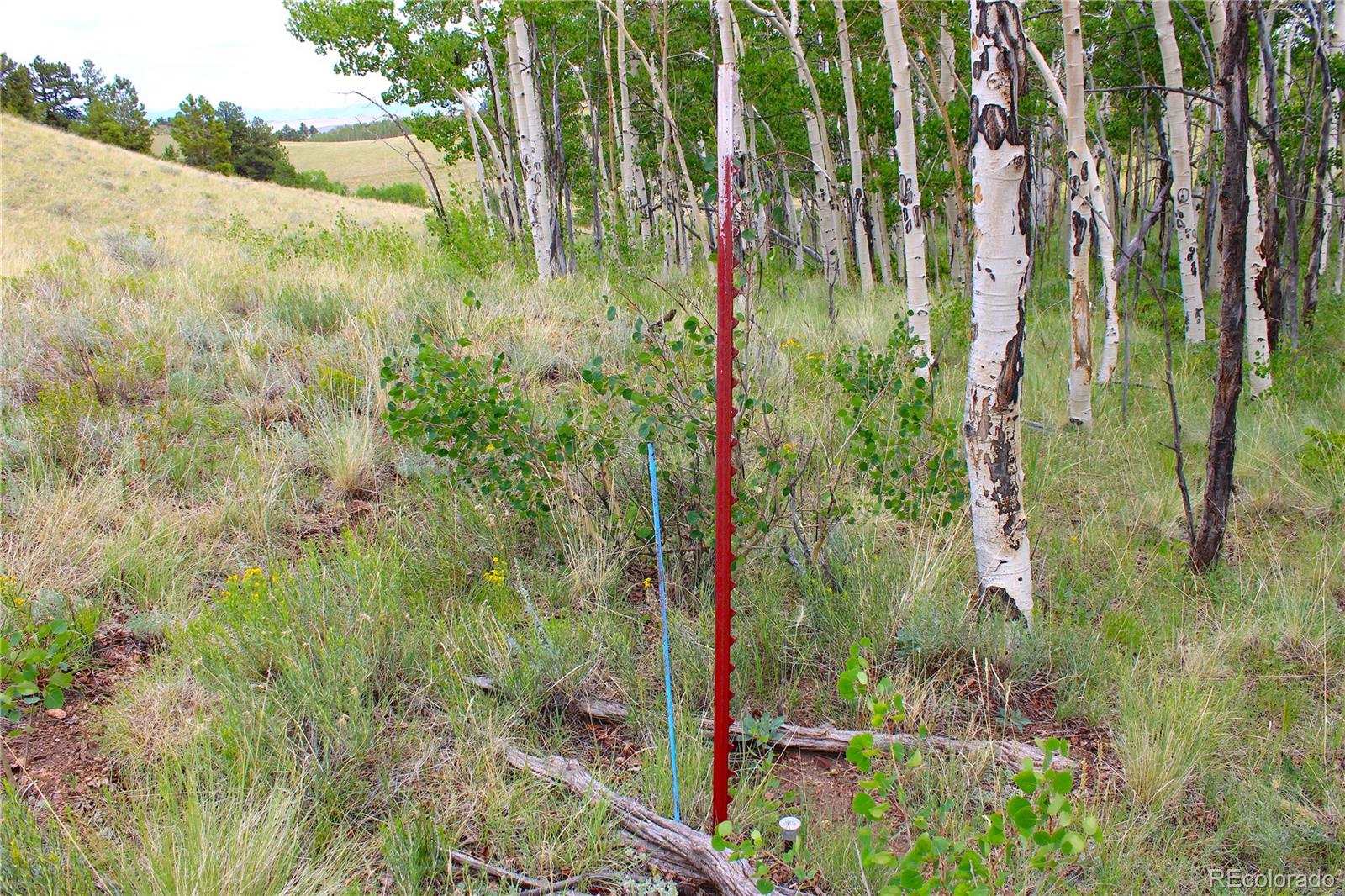 MLS Image #34 for 8575  ranch road,hartsel, Colorado