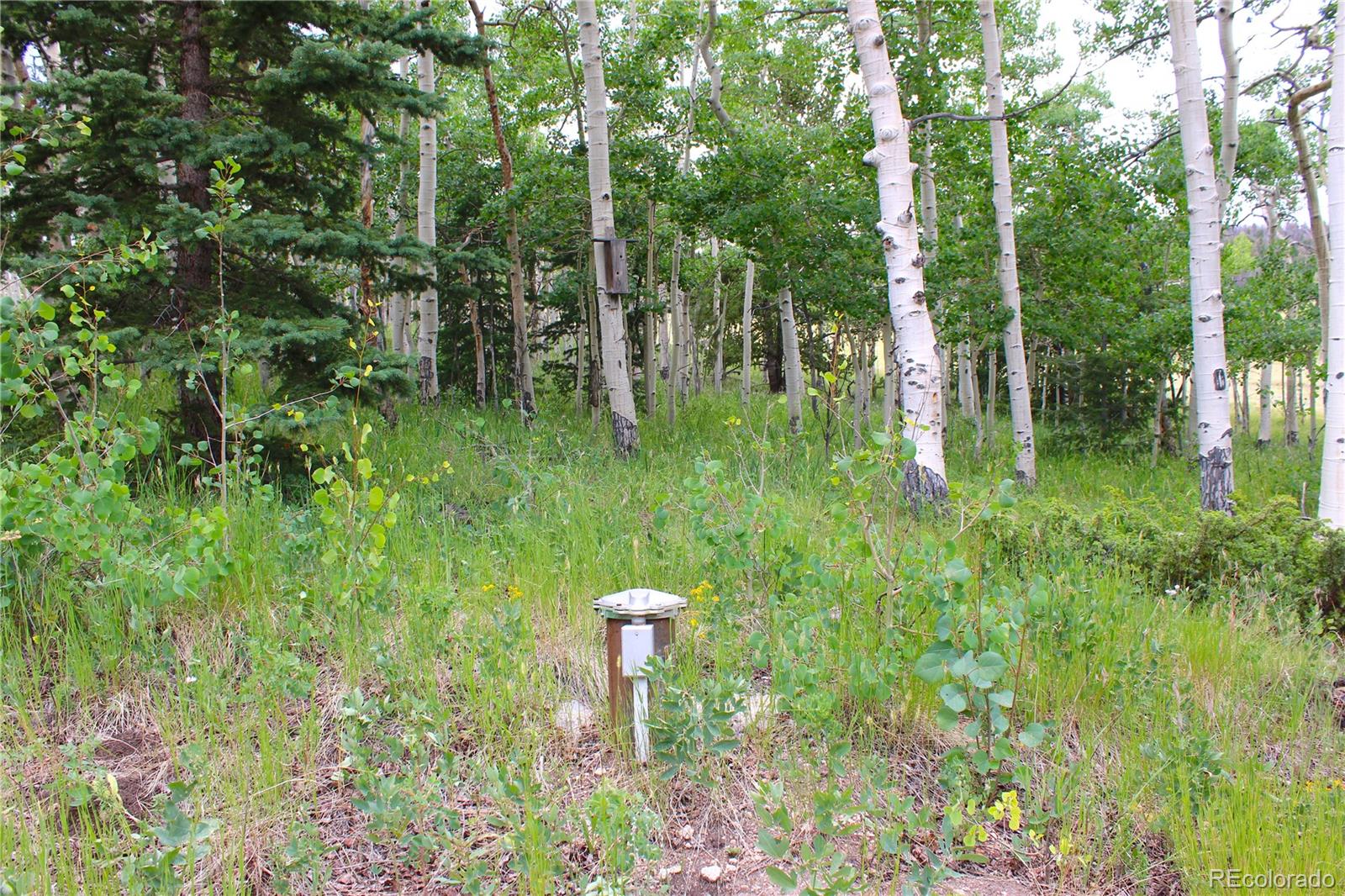 MLS Image #35 for 8575  ranch road,hartsel, Colorado