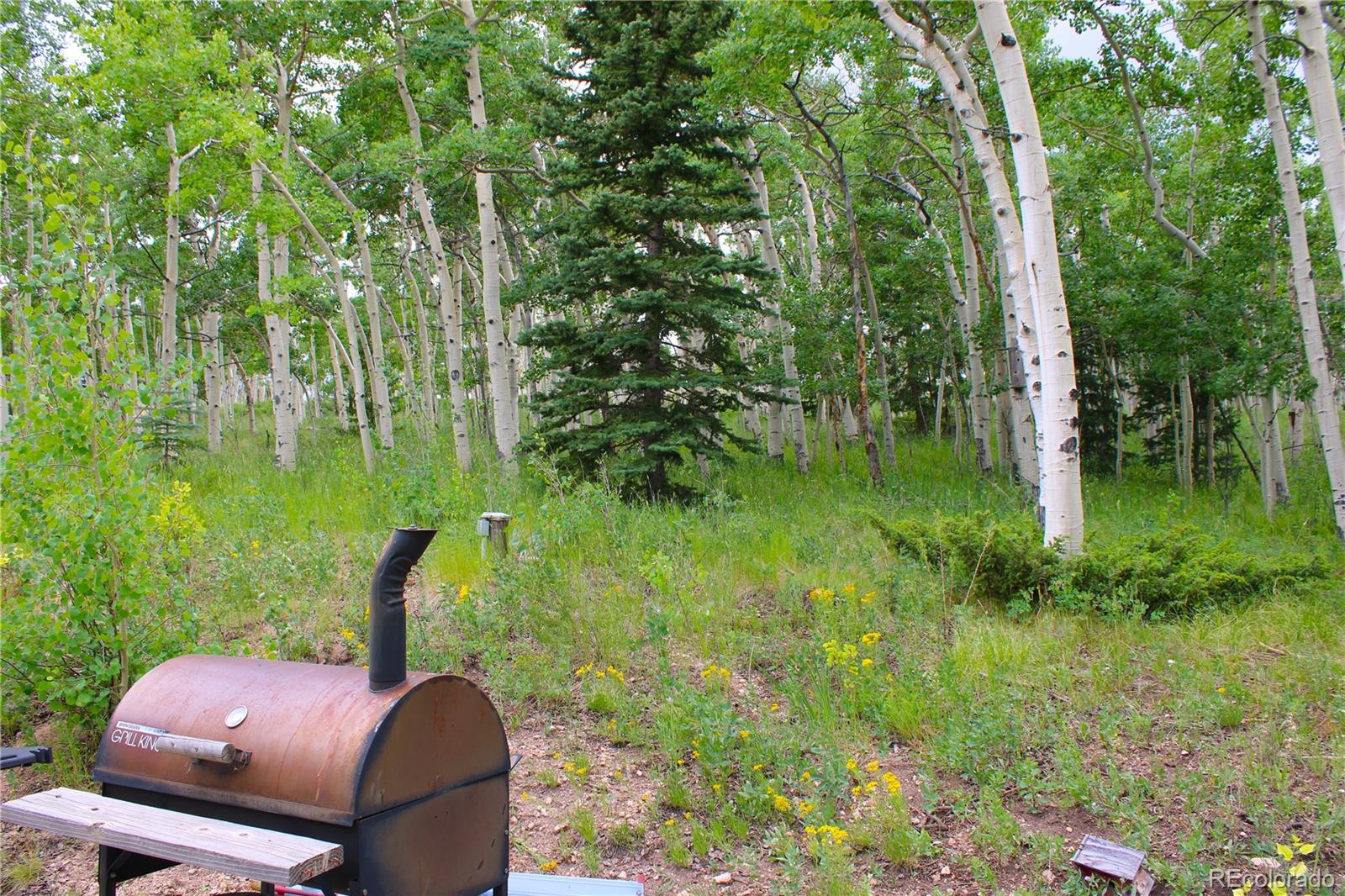 MLS Image #36 for 8575  ranch road,hartsel, Colorado