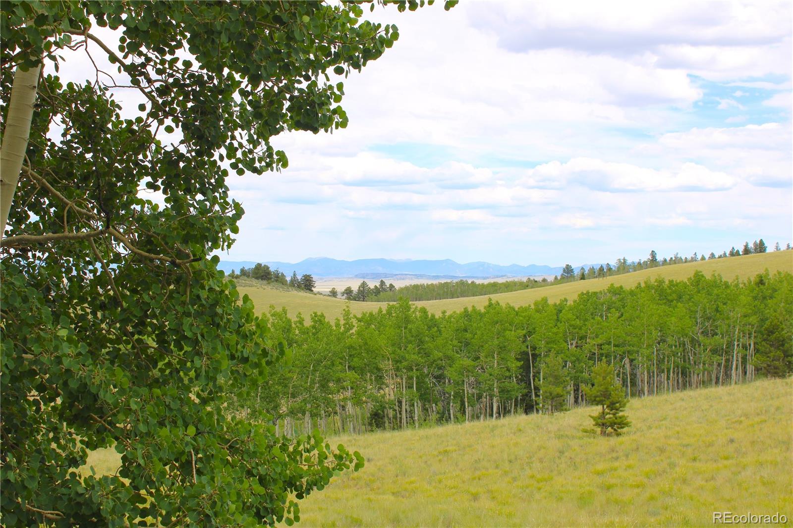 MLS Image #37 for 8575  ranch road,hartsel, Colorado