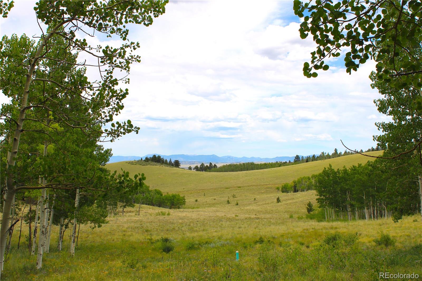 MLS Image #9 for 8575  ranch road,hartsel, Colorado