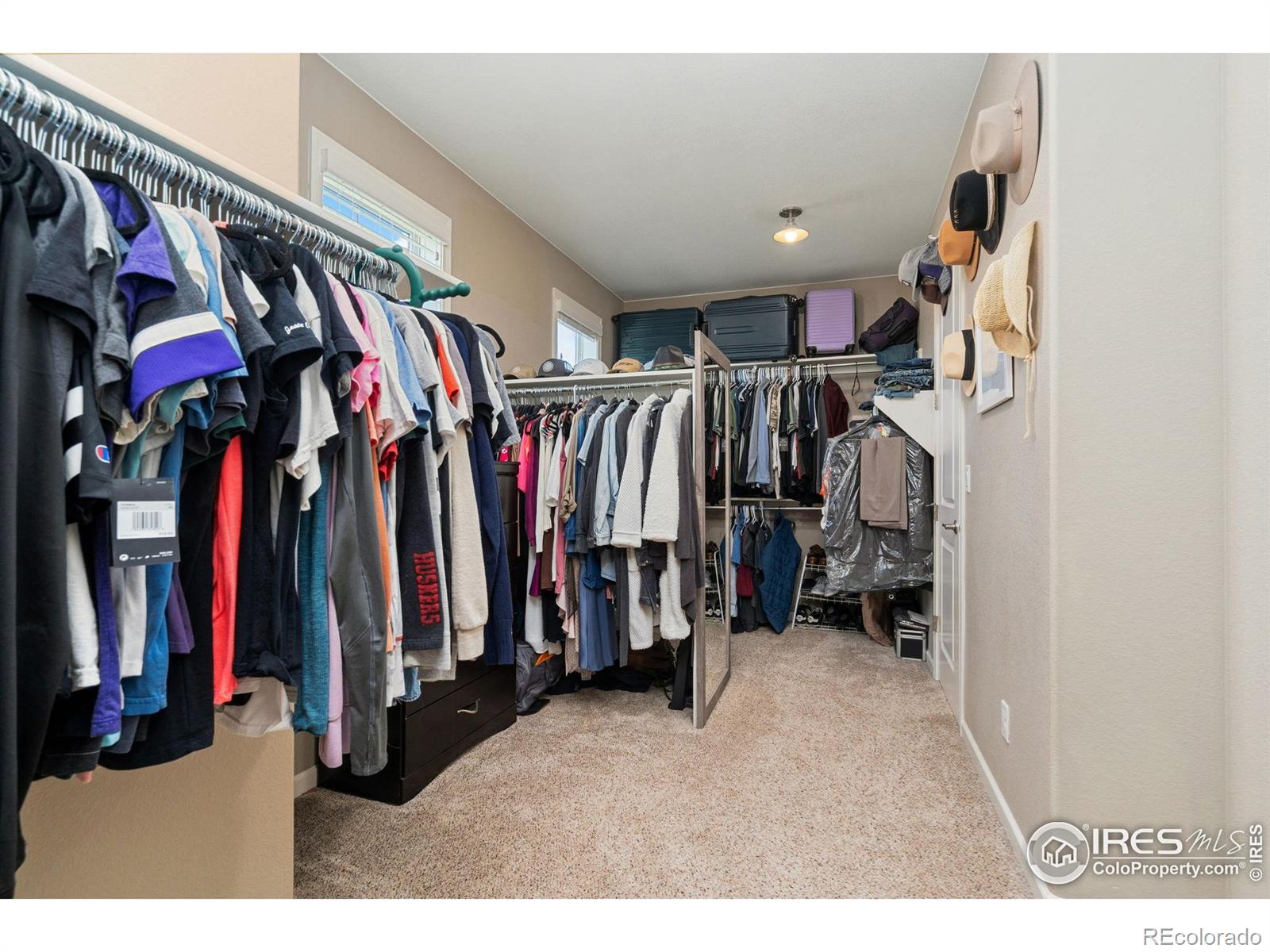 MLS Image #24 for 8541  allenbrook drive,windsor, Colorado