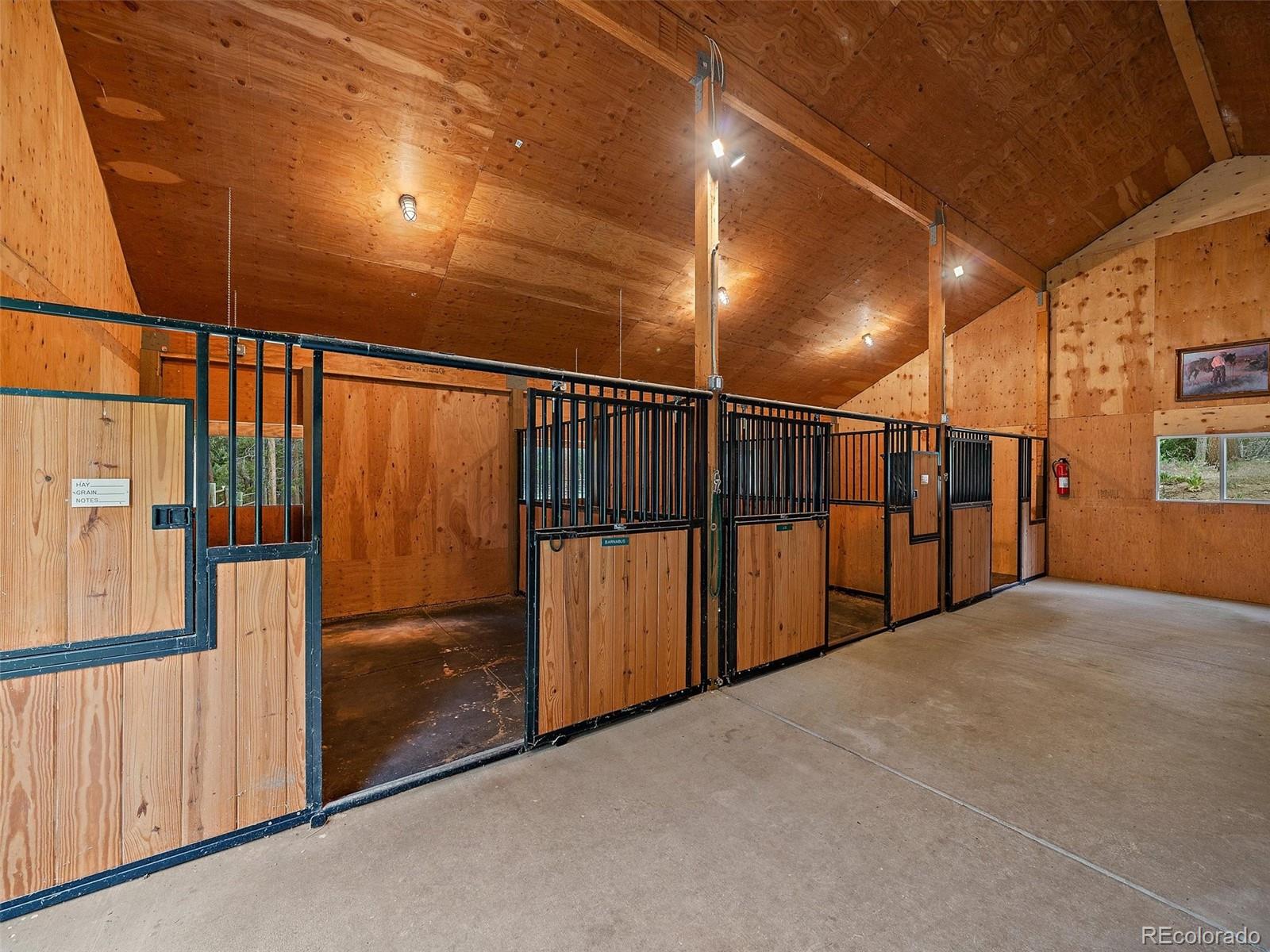 MLS Image #38 for 13094  molly drive,conifer, Colorado