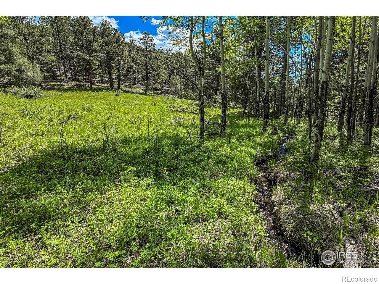 MLS Image #15 for 18673  highway 7 ,lyons, Colorado