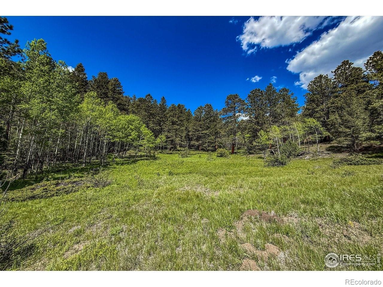 MLS Image #18 for 18673  highway 7 ,lyons, Colorado