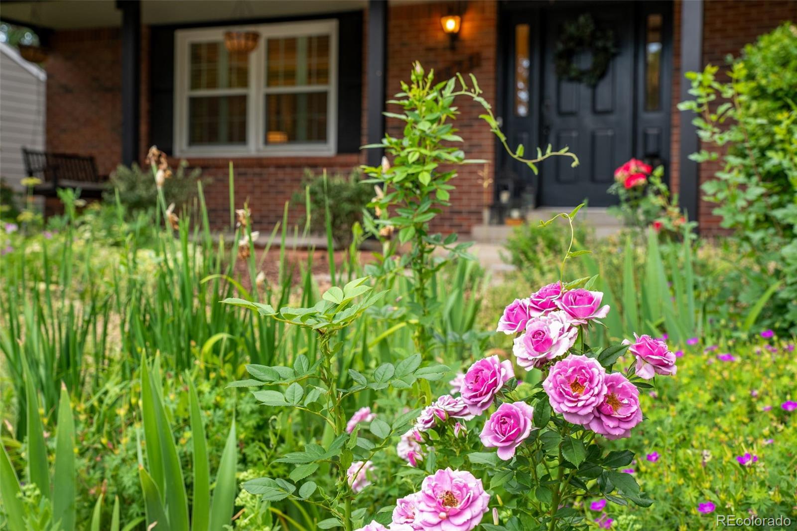 MLS Image #13 for 1673  shenandoah circle,fort collins, Colorado