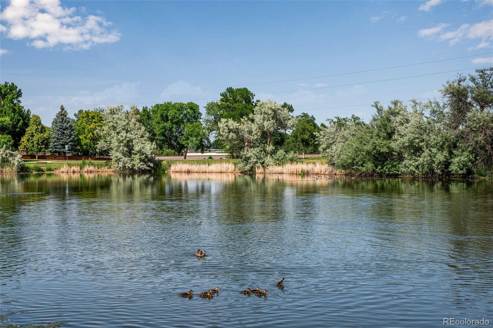 MLS Image #37 for 1673  shenandoah circle,fort collins, Colorado