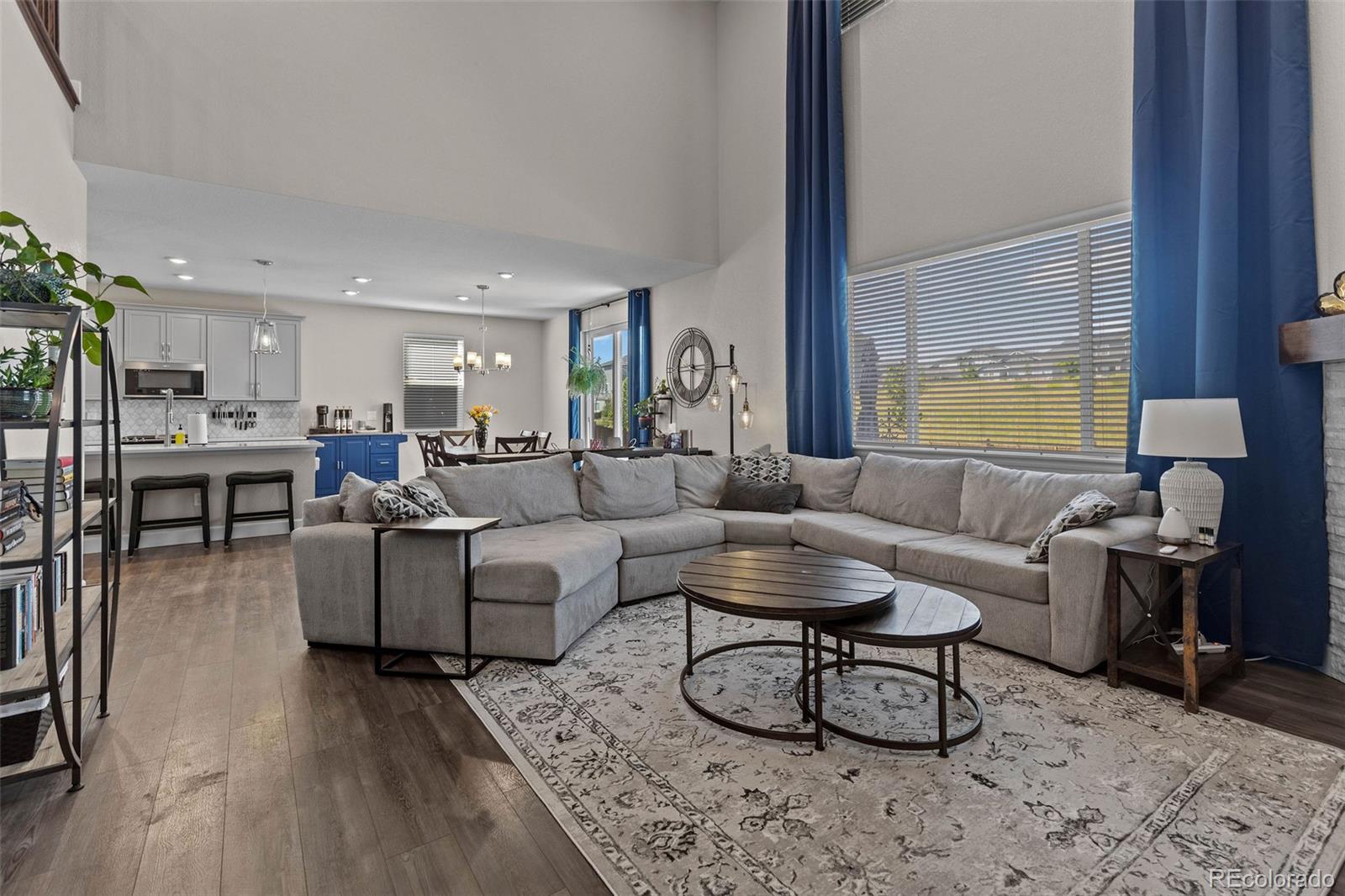 MLS Image #12 for 379  silver rock trail,castle rock, Colorado
