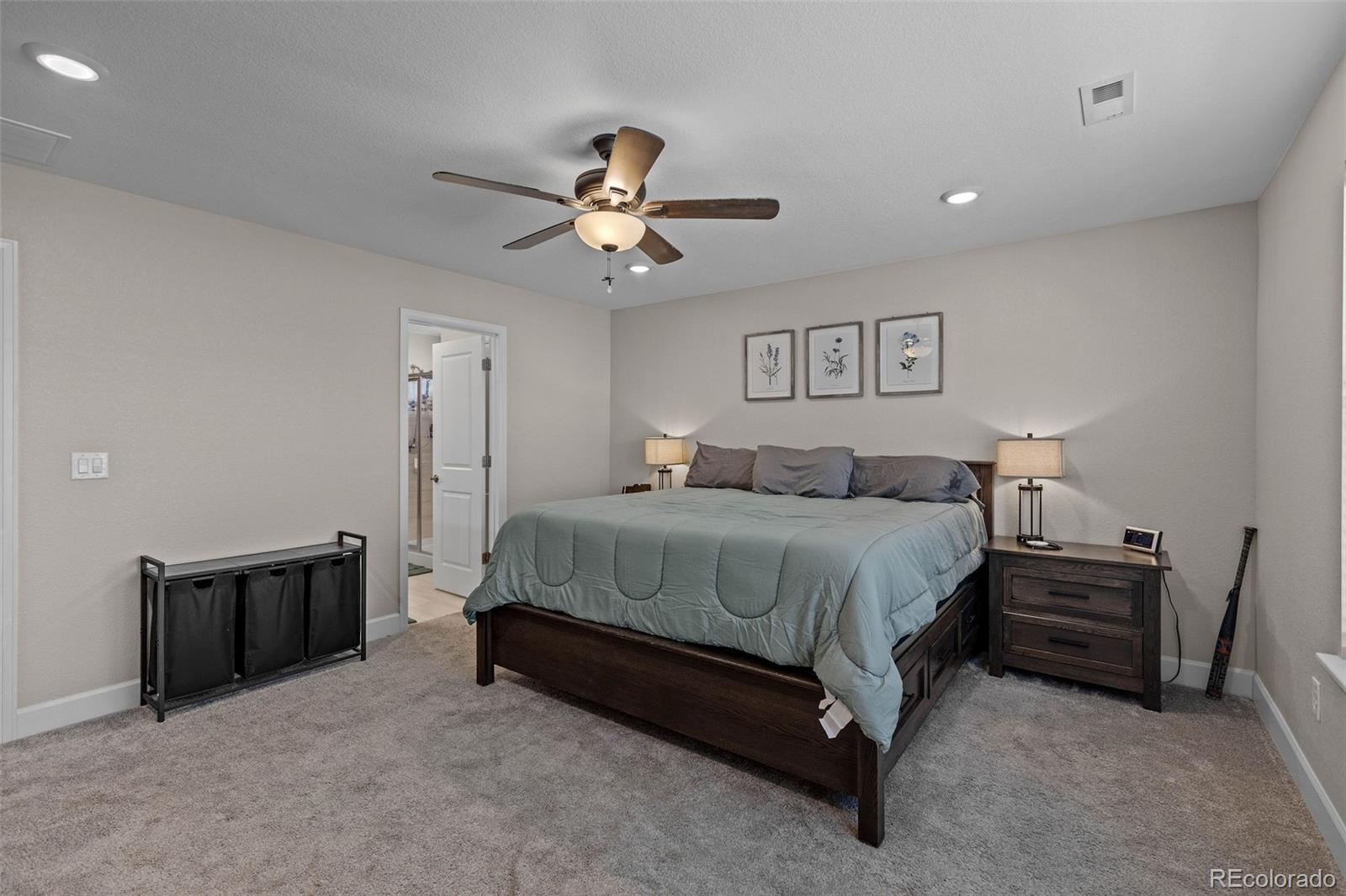 MLS Image #23 for 379  silver rock trail,castle rock, Colorado