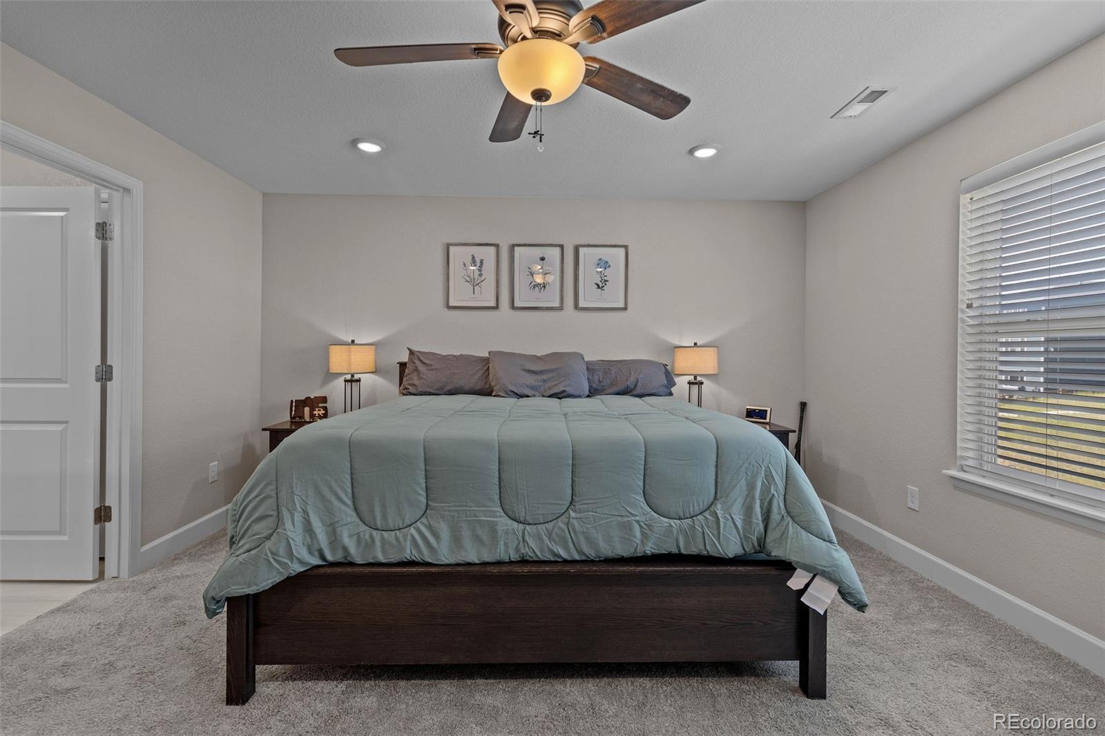 MLS Image #24 for 379  silver rock trail,castle rock, Colorado