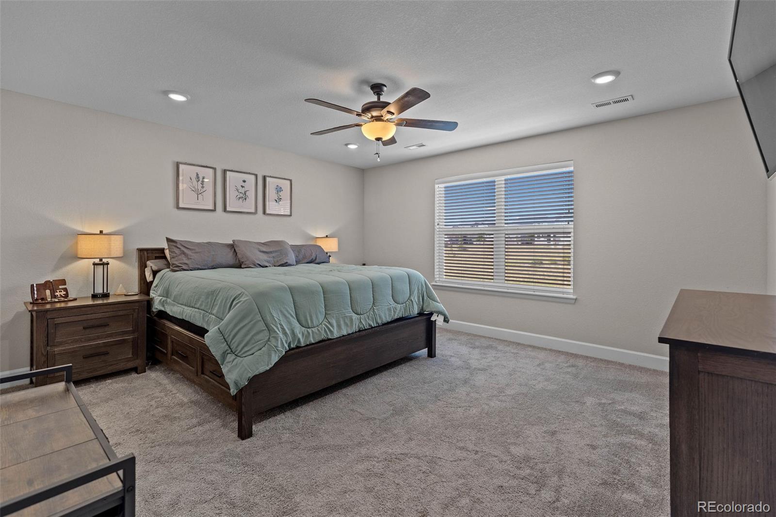 MLS Image #8 for 379  silver rock trail,castle rock, Colorado