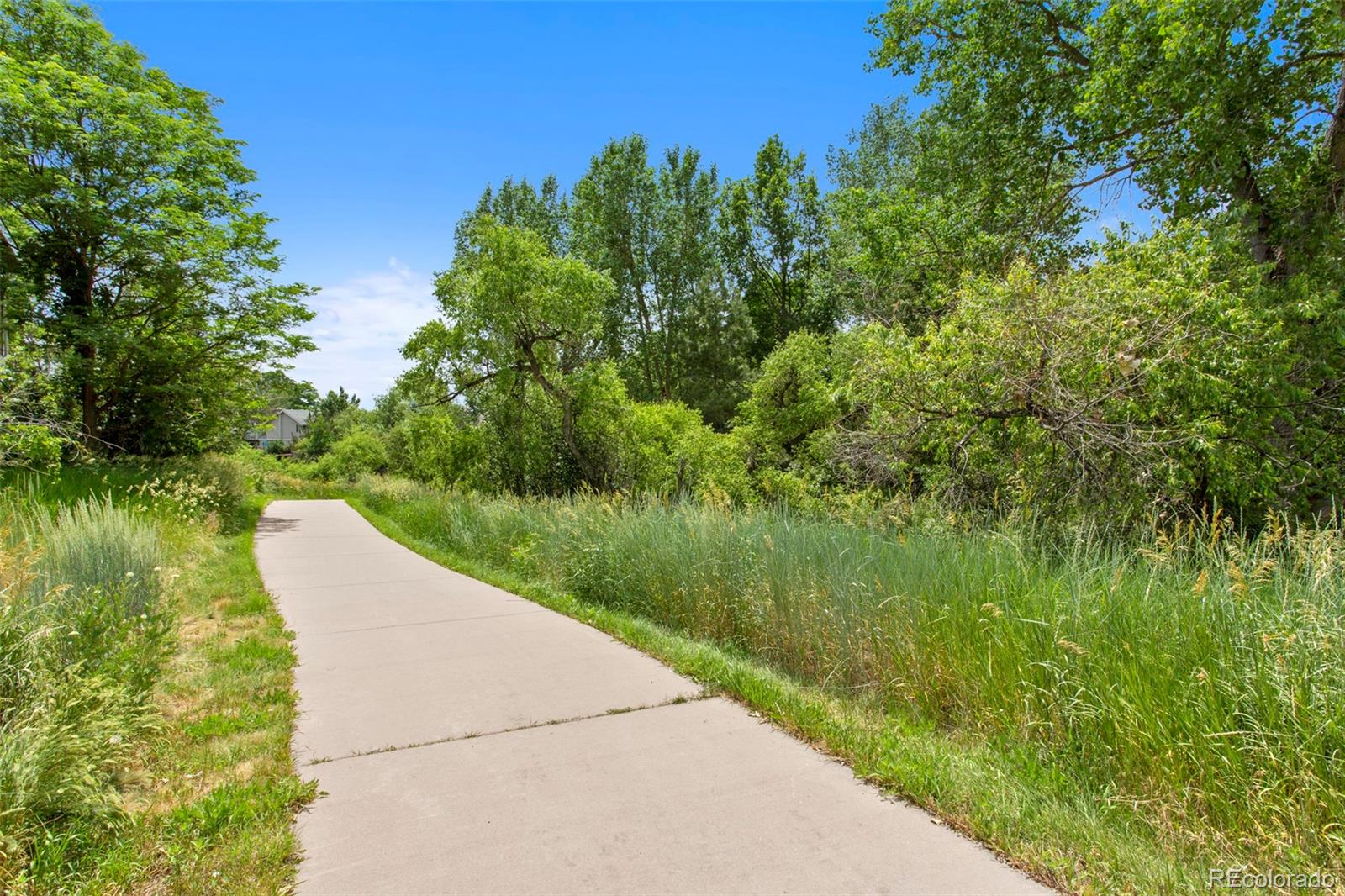 MLS Image #42 for 12  long spur,littleton, Colorado