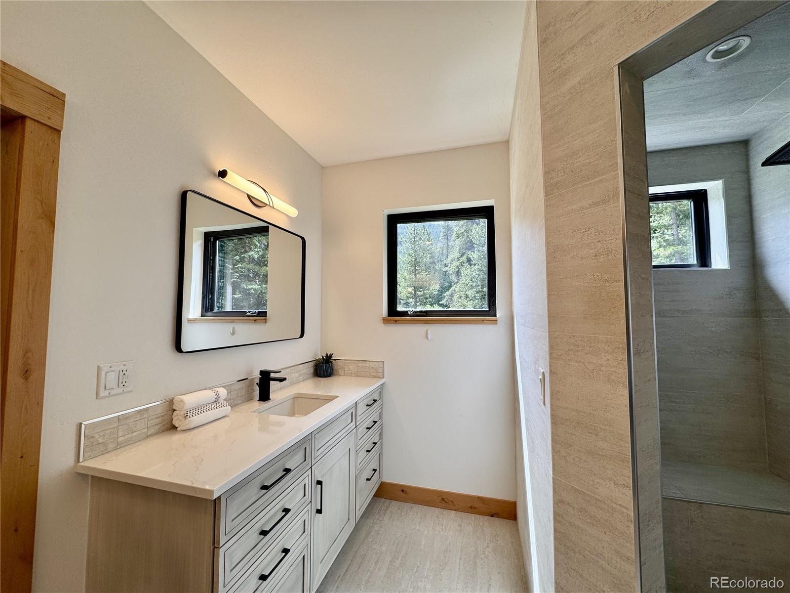 MLS Image #22 for 89  wilderness drive,breckenridge, Colorado