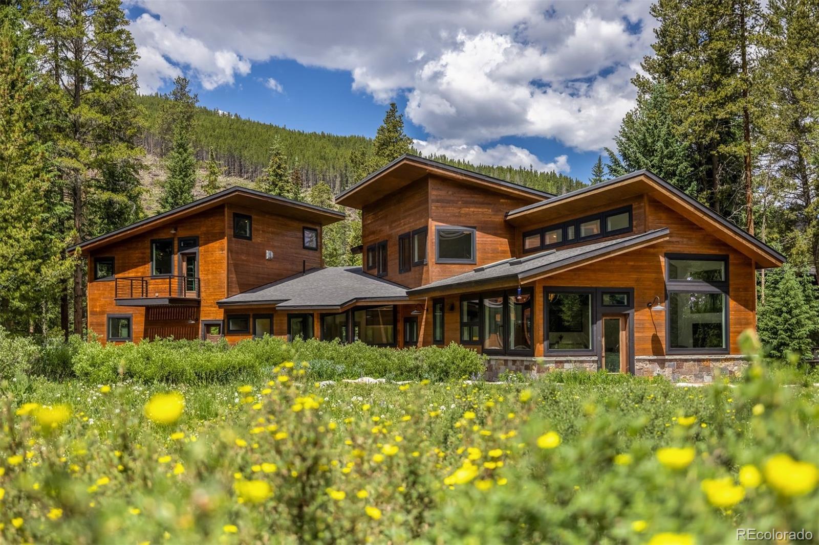 MLS Image #33 for 89  wilderness drive,breckenridge, Colorado