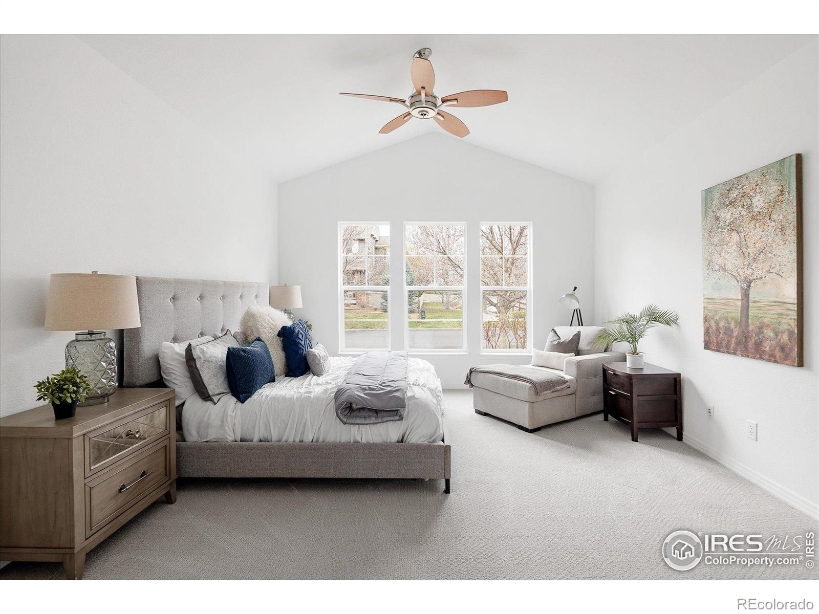 MLS Image #19 for 14214  waterside lane,broomfield, Colorado