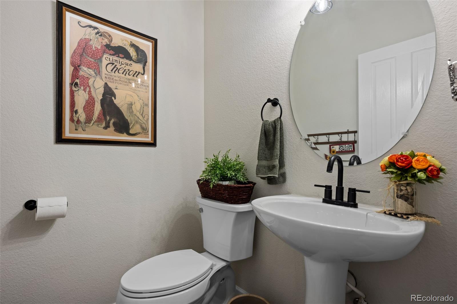 MLS Image #24 for 657 w burgundy street,highlands ranch, Colorado