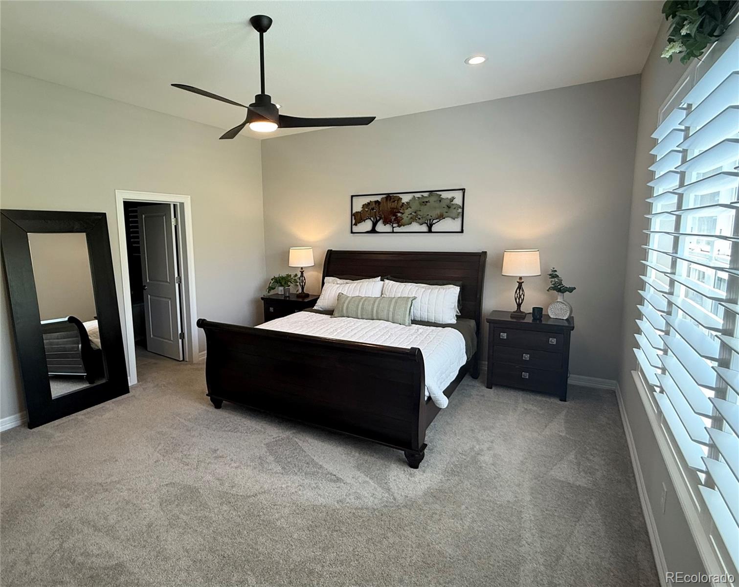 MLS Image #16 for 5668  shadescale way,castle rock, Colorado