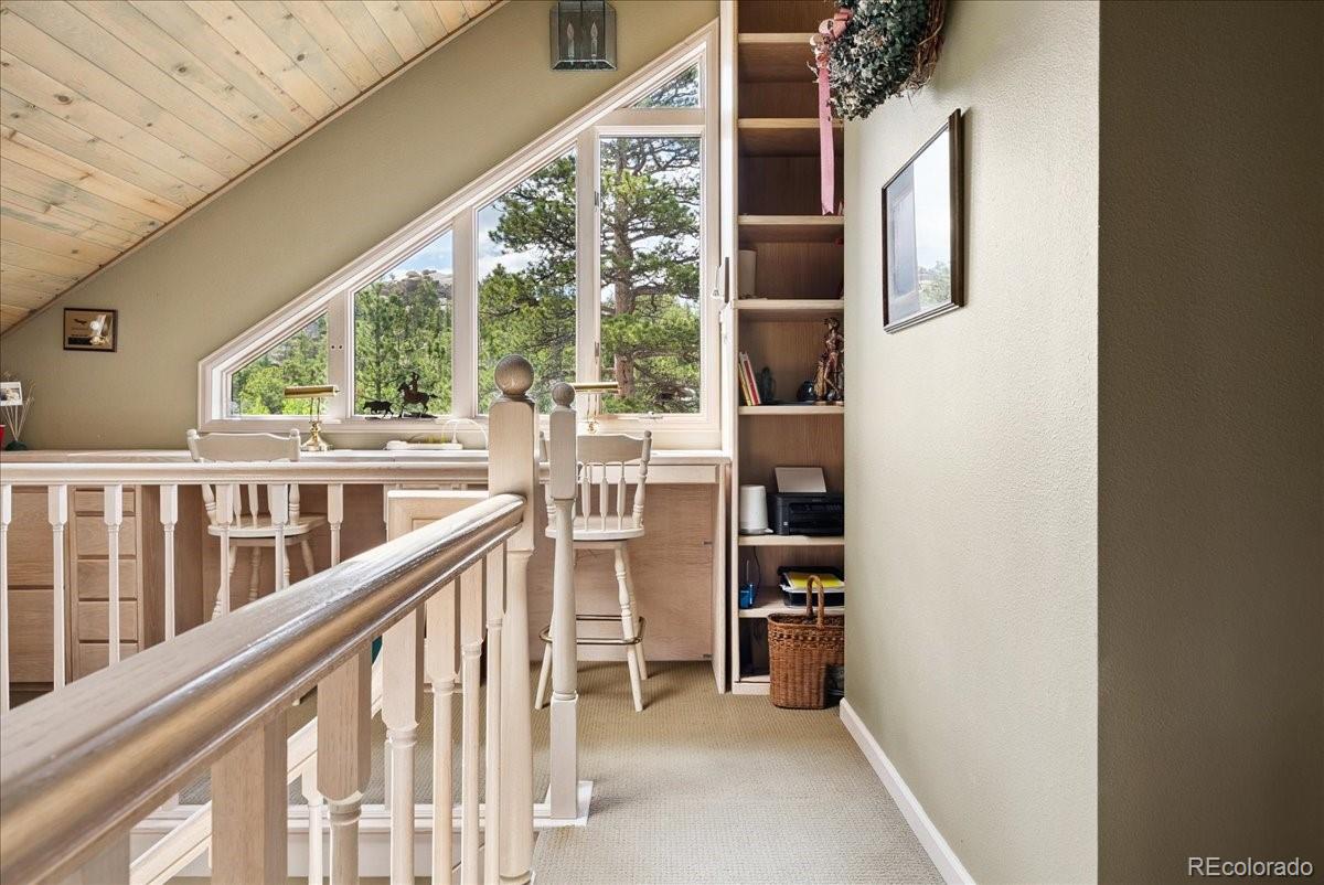 MLS Image #22 for 40  3 lakes court,red feather lakes, Colorado