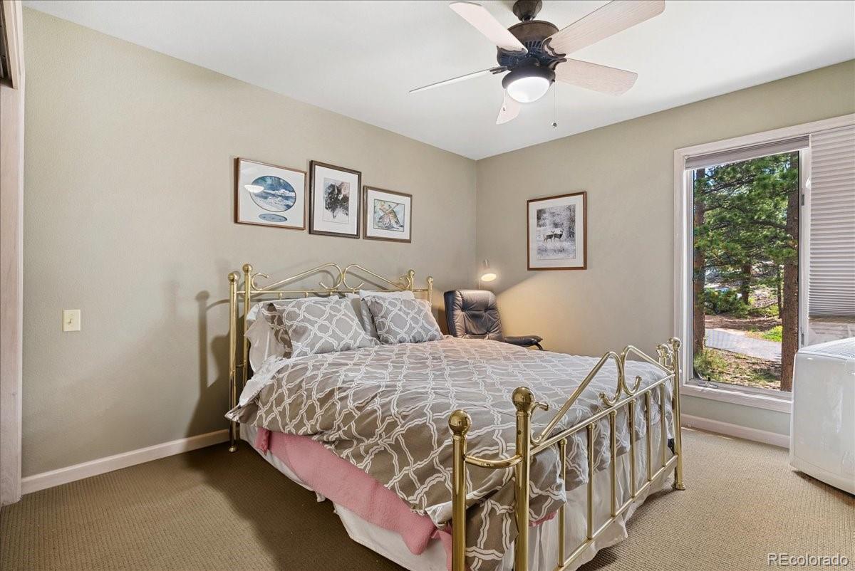 MLS Image #28 for 40  3 lakes court,red feather lakes, Colorado