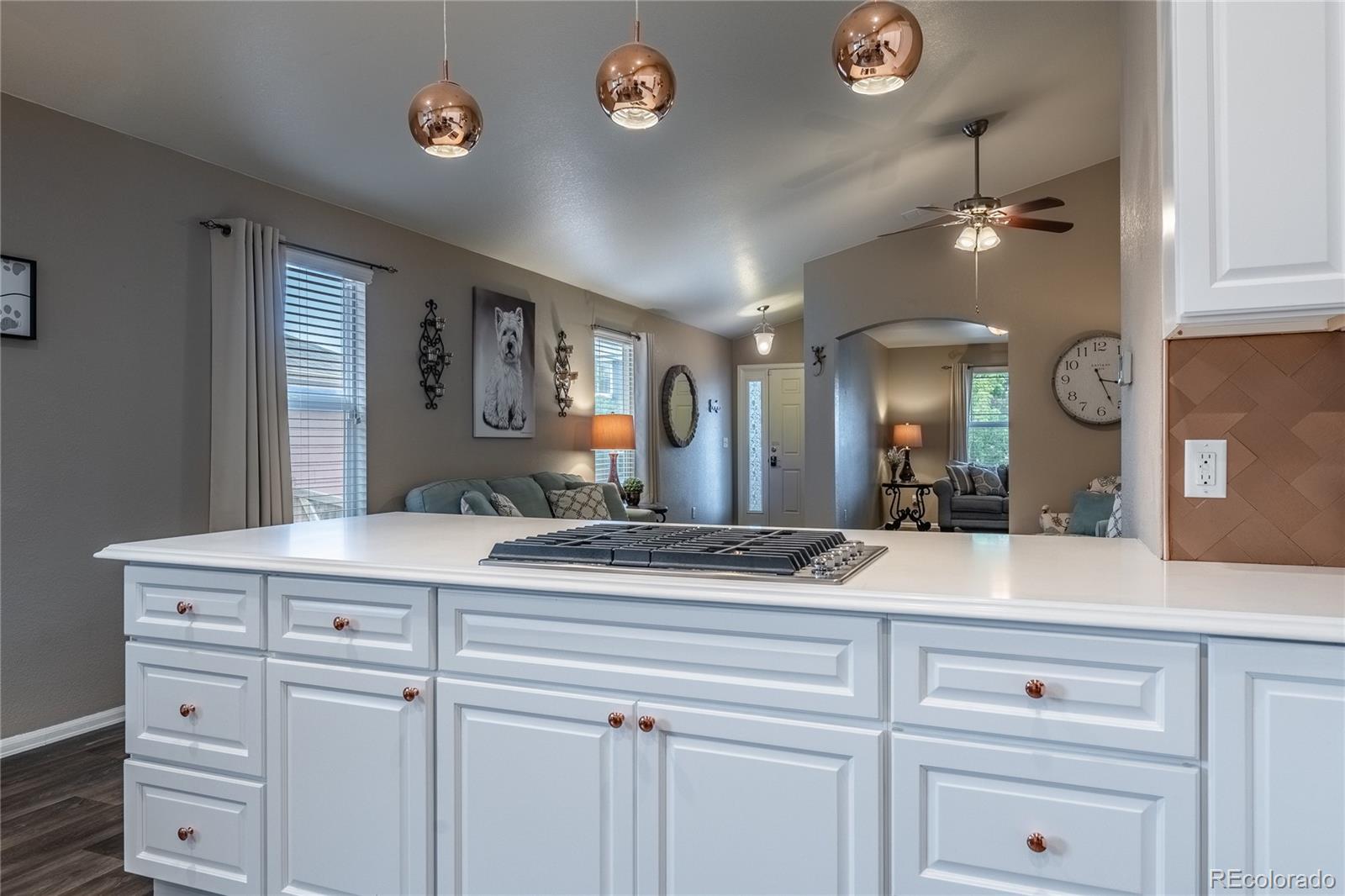 MLS Image #17 for 123  blue stem street,brighton, Colorado