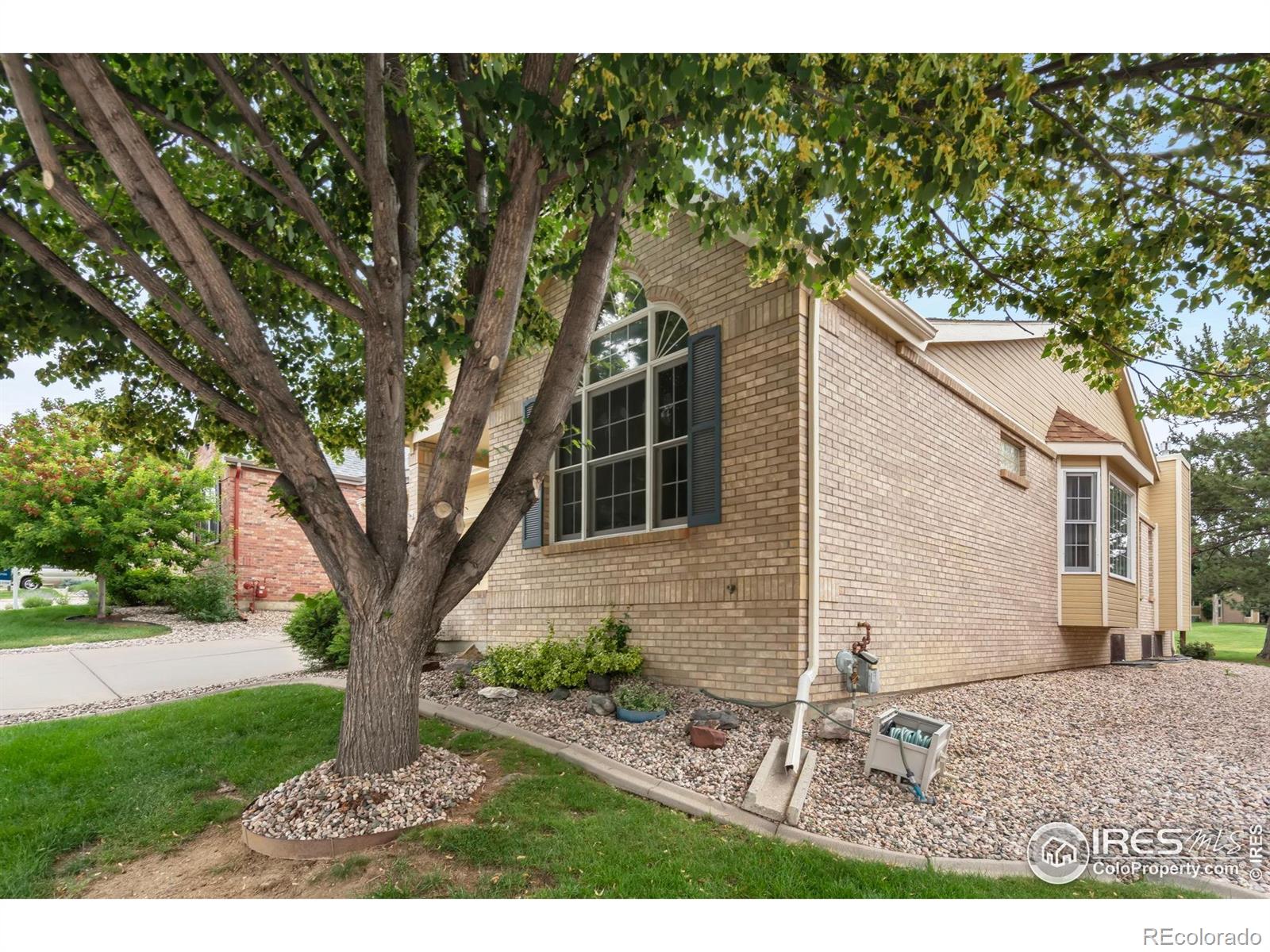 MLS Image #1 for 5636  wingfoot drive,fort collins, Colorado