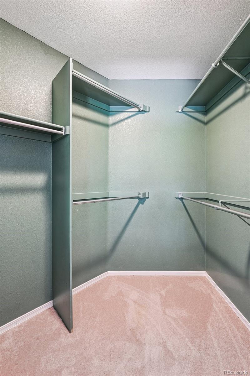MLS Image #17 for 6404  silver mesa drive,highlands ranch, Colorado