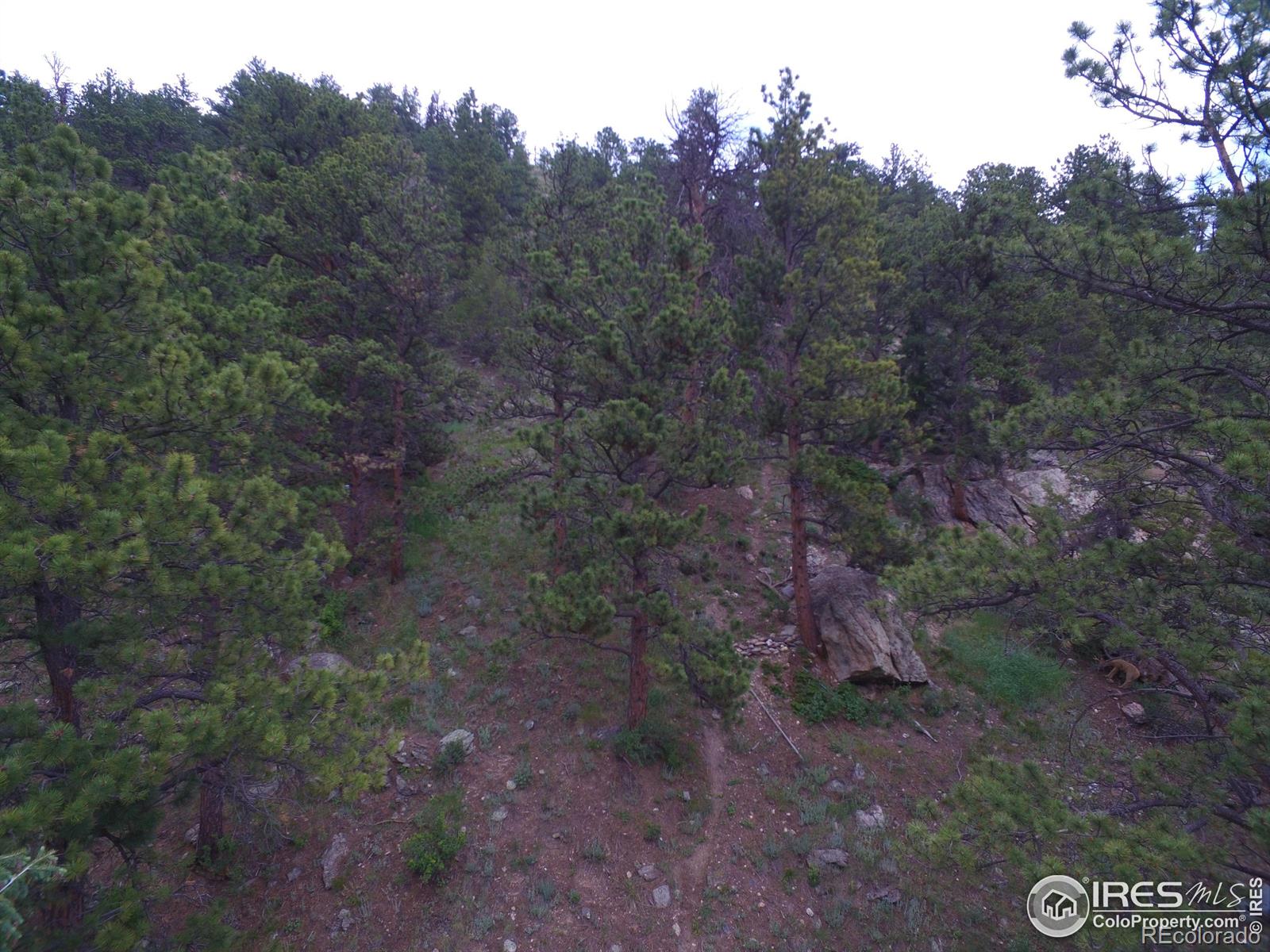 MLS Image #37 for 1618  dunraven glade road,glen haven, Colorado
